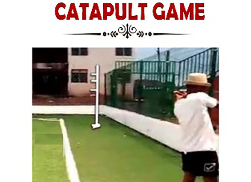 CGA CATAPULT GAME